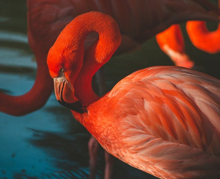 11 phrases irrésistibles pour séduire les femmes 11 phrases irrésistibles pour séduire les femmes