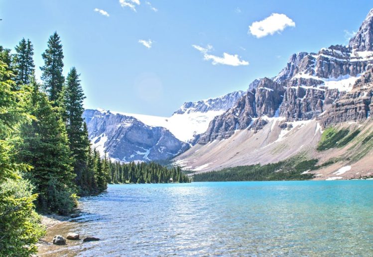 cinq lieux idéaux pour croiser un homme célibataire