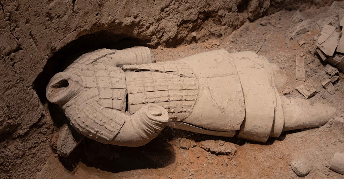 découvrez l'importance de ce sujet, son impact dans différents domaines et pourquoi il mérite toute votre attention. analyse, explications et conseils pour mieux comprendre son rôle essentiel.