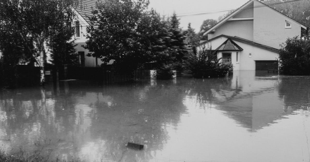 découvrez les limites de la séduction avec "excessive sexiness" : un regard audacieux sur l'excès de charme et ses effets.