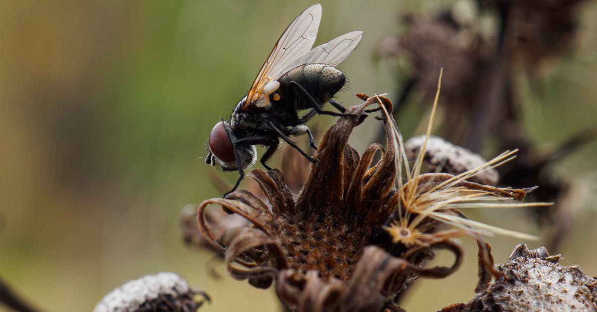 suivi efficace pour garantir la continuité et le succès de vos projets. découvrez nos conseils et outils pour un suivi optimal.