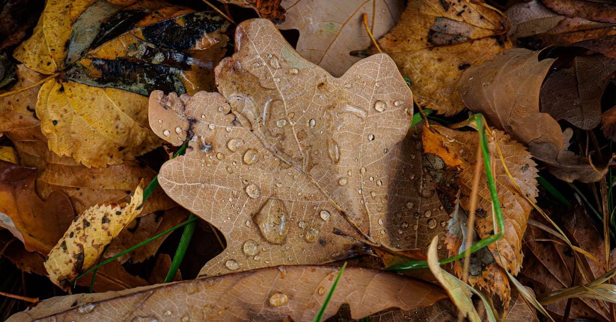 suivi personnalisé pour assurer la continuité et l'efficacité de vos projets.