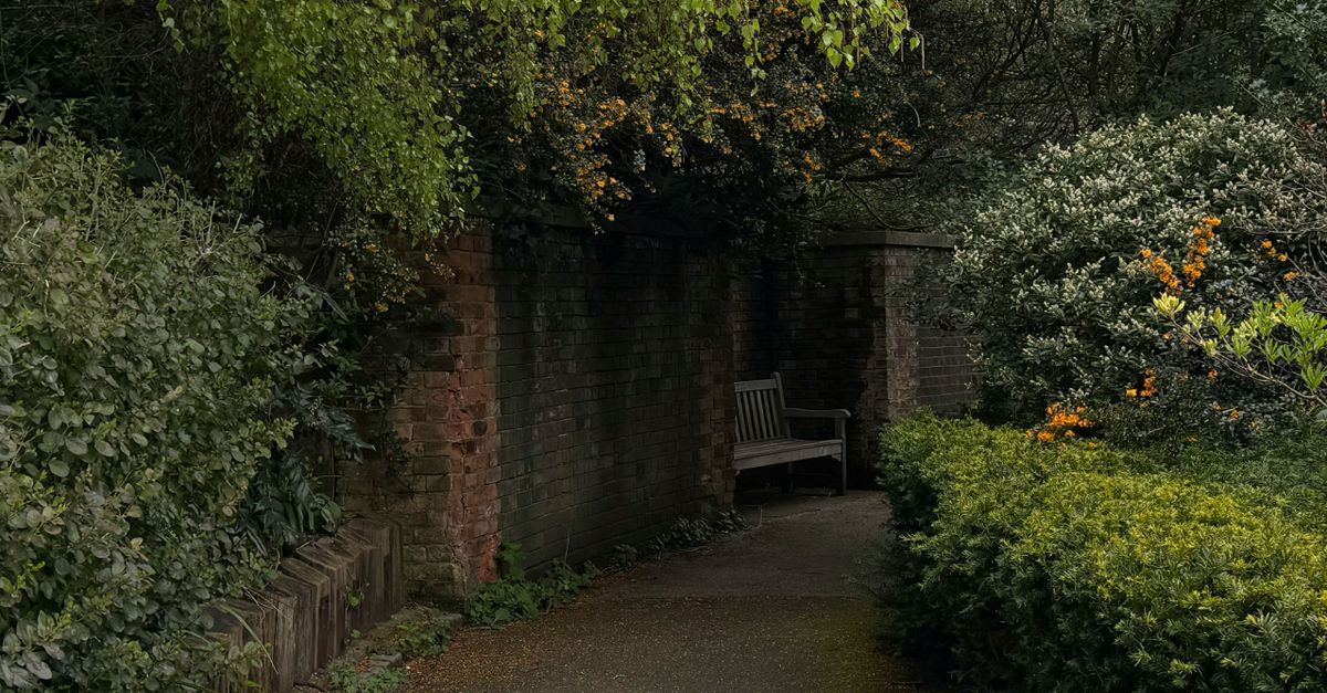 découvrez les jardins cachés, des lieux secrets et paisibles où la nature révèle toute sa beauté et sérénité.