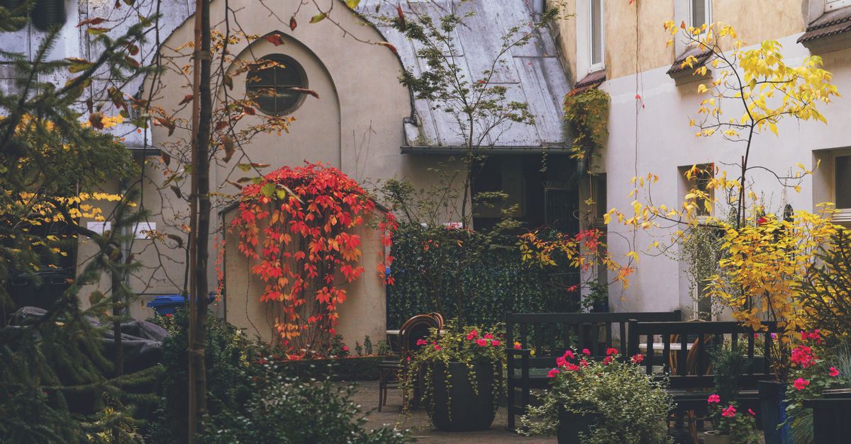 découvrez les jardins cachés, des oasis secrètes et paisibles où la nature révèle toute sa beauté discrète. parfaits pour une escapade sereine et inspirante.