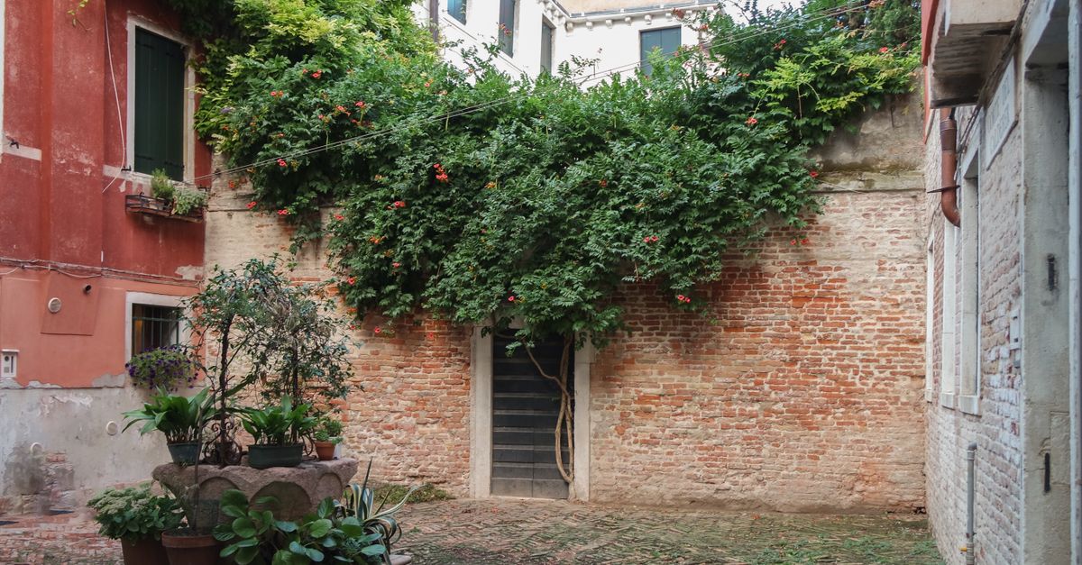 découvrez les jardins cachés : lieux secrets de verdure et de sérénité pour une escapade nature hors des sentiers battus.