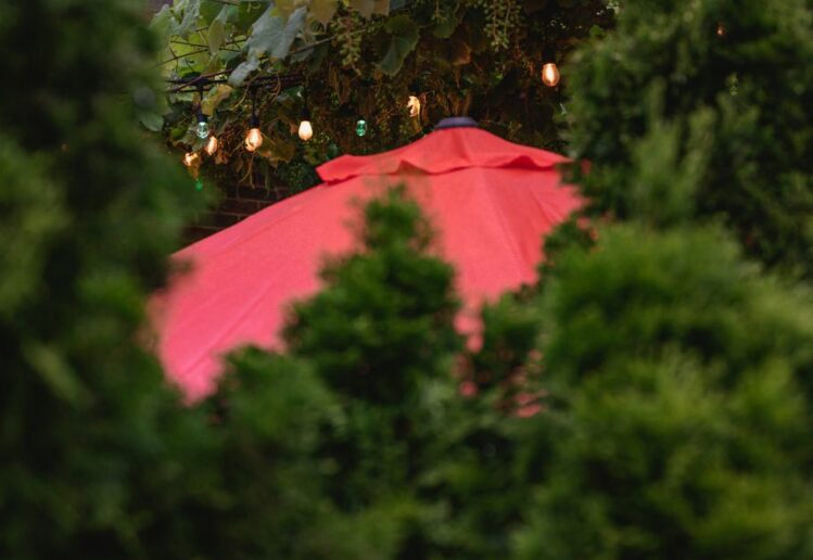 Découvrez les jardins cachés de Paris pour des rendez-vous discrets