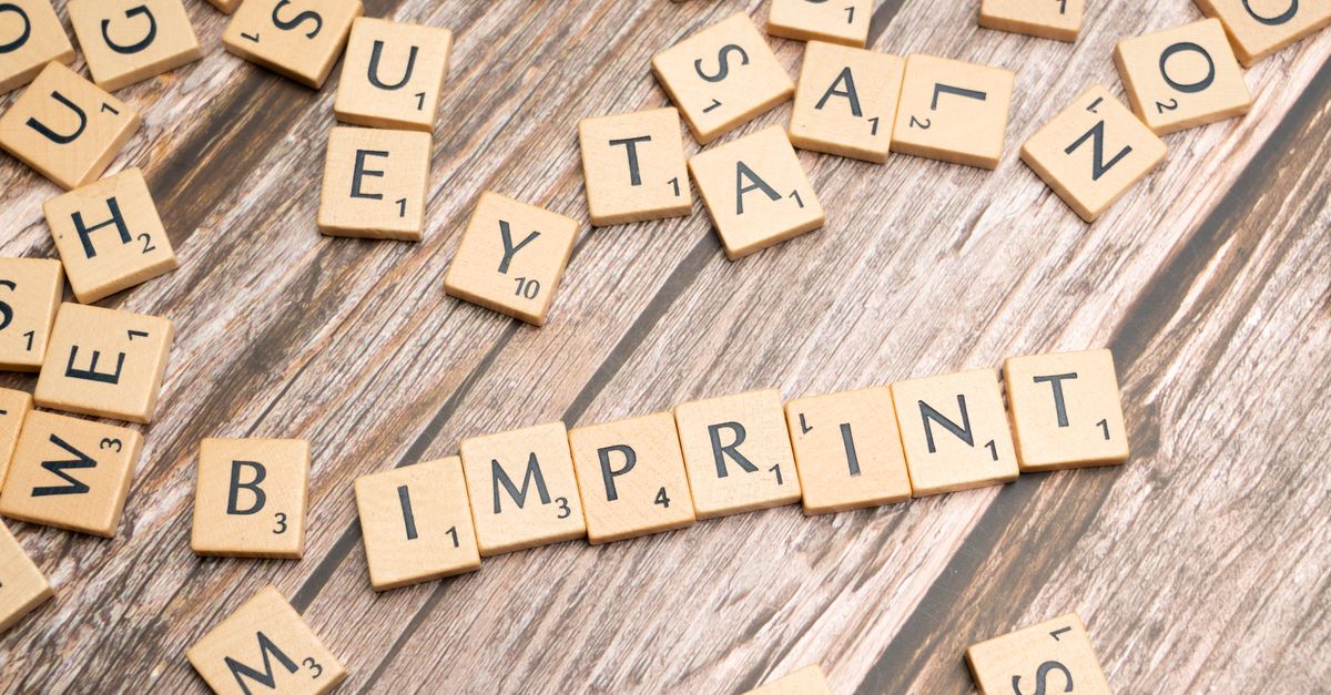 découvrez nos premières impressions détaillées pour vous aider à mieux comprendre et apprécier chaque nouveauté.