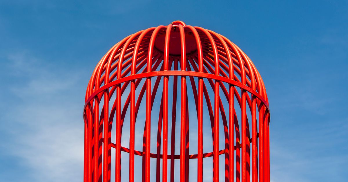 découvrez l'art de la captivation : techniques et astuces pour capturer l'attention et susciter l'intérêt.